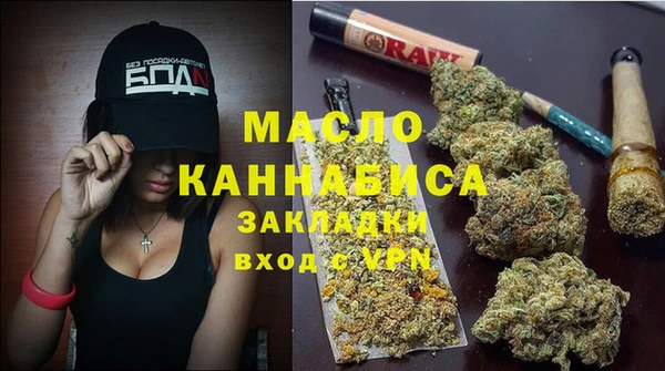 дмт Сатка