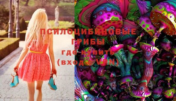 spice Баксан